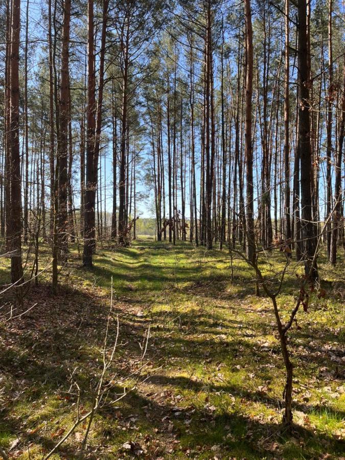 Holiday home Smolniki Lesna Oaza Smolniki (Pomerania)